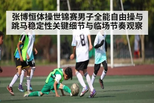张博恒体操世锦赛男子全能自由操与跳马稳定性关键细节与临场节奏观察